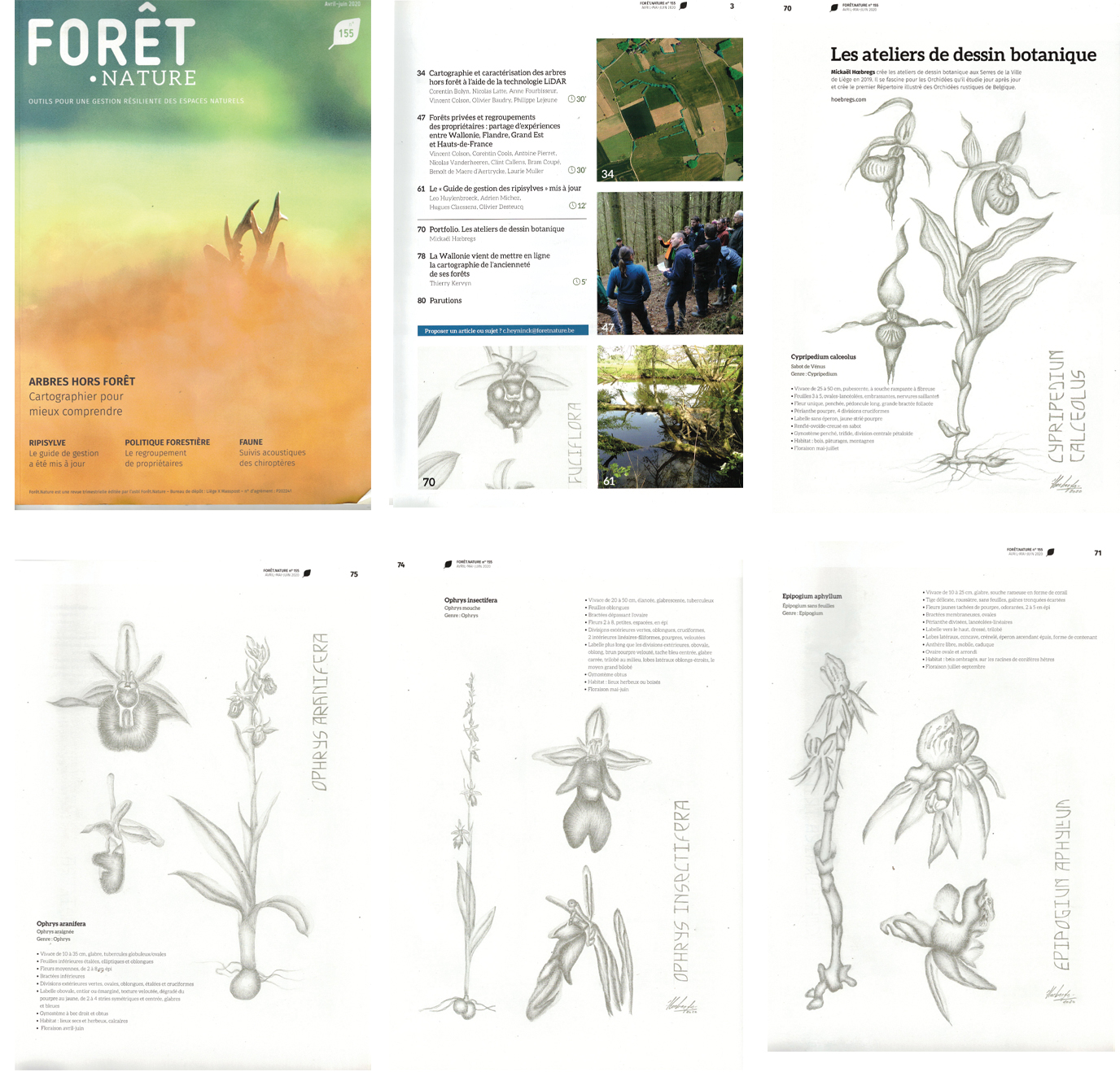 foretnature